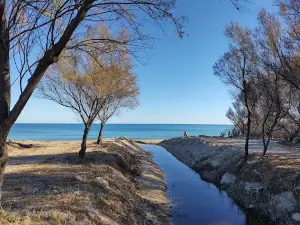 Riserva Naturale Regionale Sentina