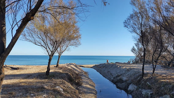 Riserva Naturale Regionale Sentina