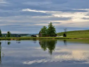 Hickory Hollow Campground