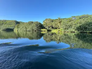 Smith's Fern Grotto Tour