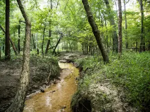 Camp Deer Run
