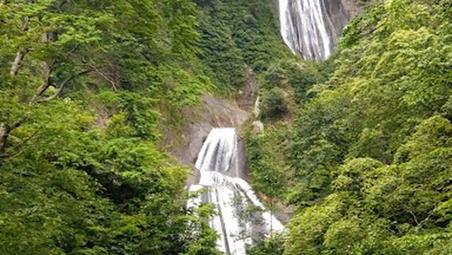 Heavenly Woman's Footbath