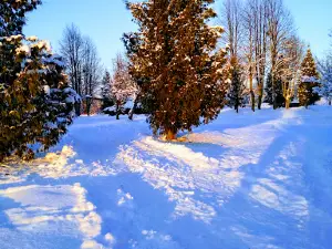 Hill of Glory