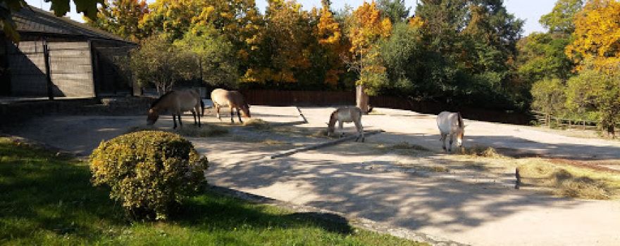 Nature Park Draháň-Troja