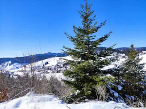 Stübenwasen Lift GmbH & Co KG