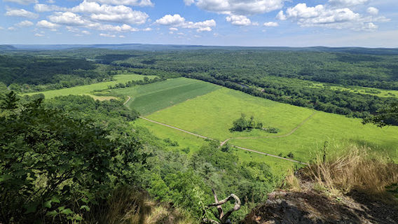 Dingman Township