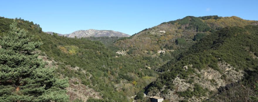 Tanargue