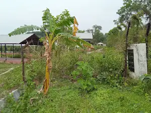 Kasba Kali Bari