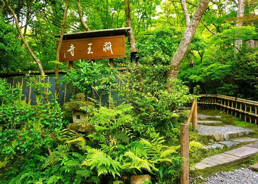 Hotel in zona Tempio di Gjō-ji