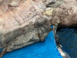 Aqua Planet Yeosu