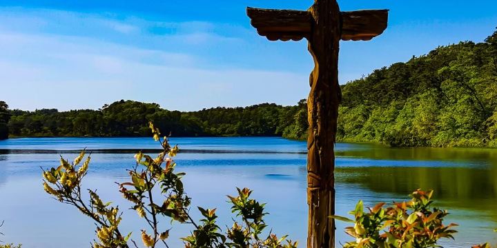 Nickerson State Park