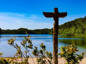 Nickerson State Park