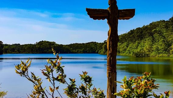 Nickerson State Park