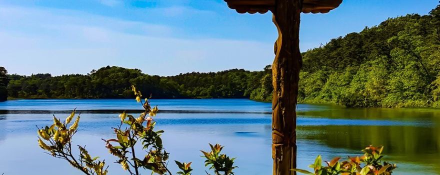 Nickerson State Park