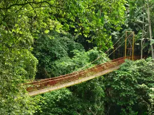 Jardin Botanico del Quindio