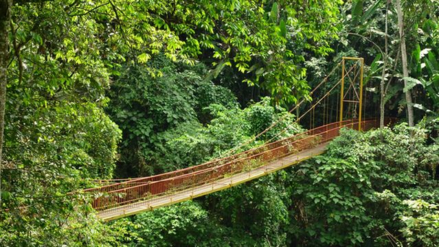 Jardin Botanico del Quindio