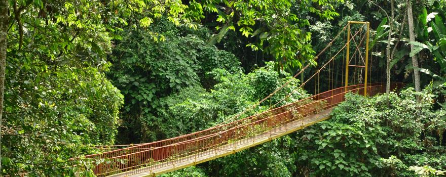 Jardin Botanico del Quindio