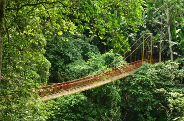 Jardin Botanico del Quindio