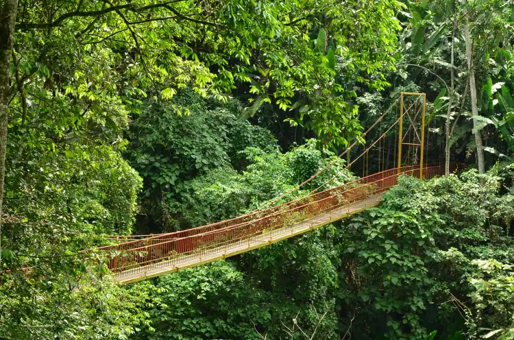 Hotels near Jardin Botanico del Quindio