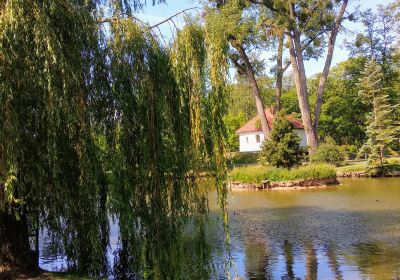 VDU Botanical garden
