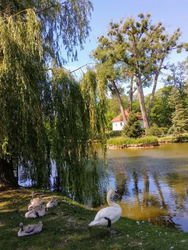 VDU Botanical garden