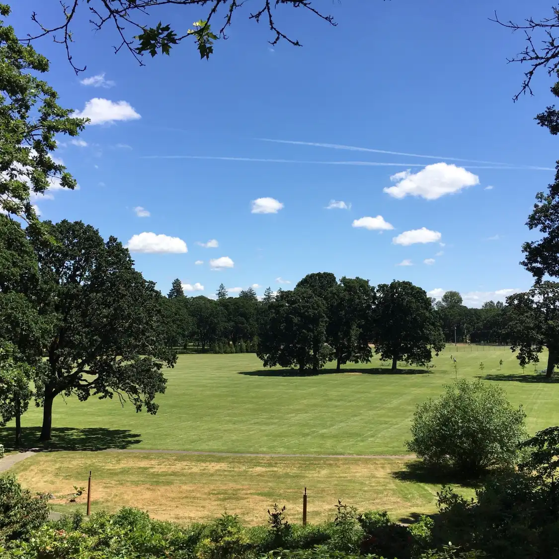Hoteles cerca de Bush's Pasture Park
