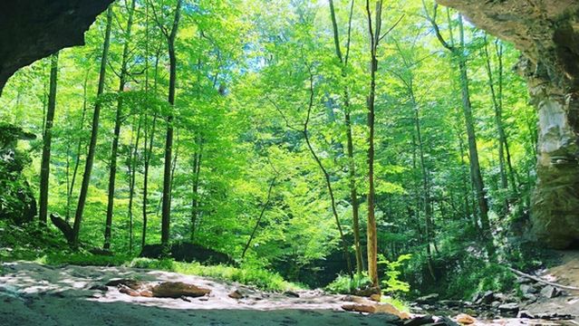 Carter Caves State Resort Park