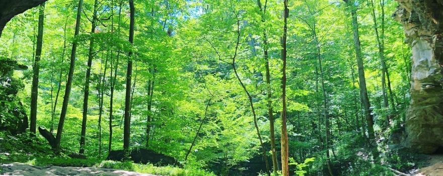Carter Caves State Resort Park
