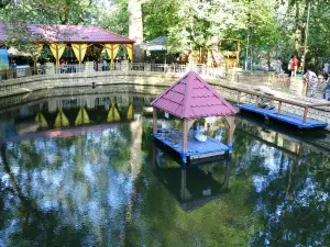 Central Park of Culture and Leisure of the city of Stavropol