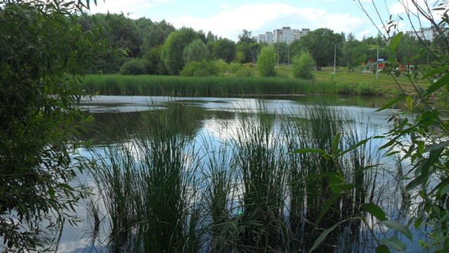 Park Voronezhskiye Ozora
