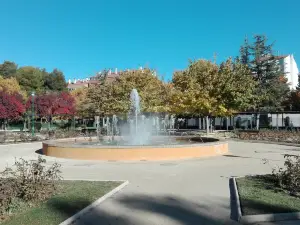 Parque of the Fiesta del Arbol