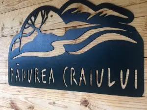 Farcu Crystal Cave