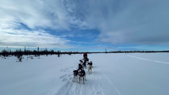 Happy Trails Kennel