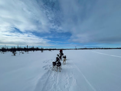 Happy Trails Kennel