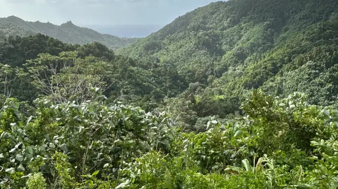 4_Raro Mountain Safari Tour