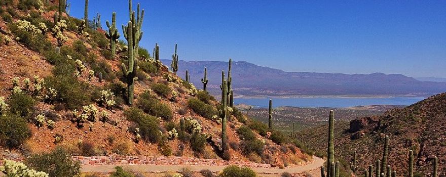 Tonto National Monument