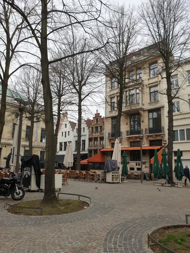 Hotels near Hoveniersstraat