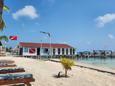 Belize Island Divers