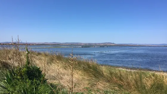 Pomorie Lake