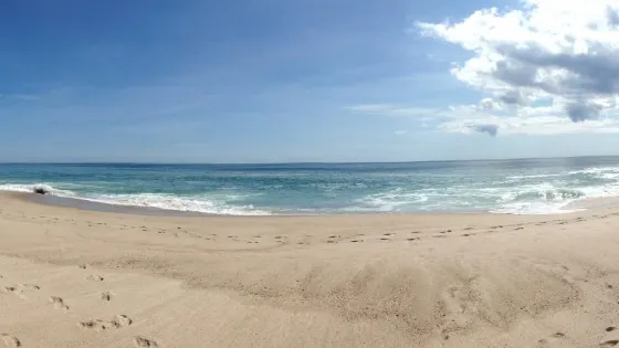 Nauset Beach