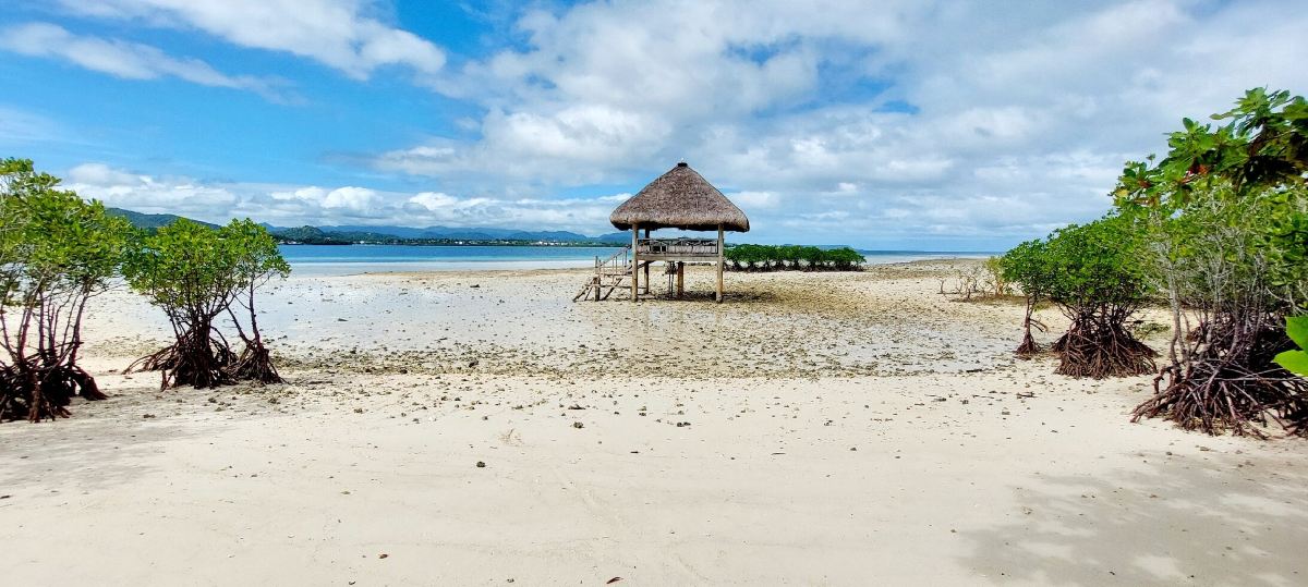 Shenzhen to Masbate Flights