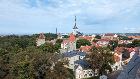Patkuli Viewing Platform