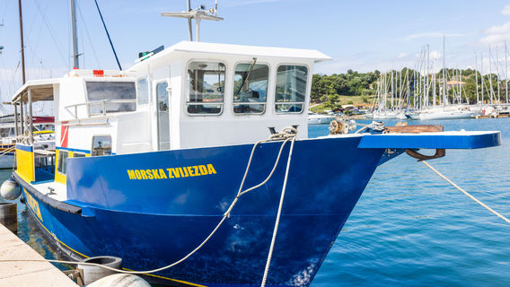 Starfish Diving Center