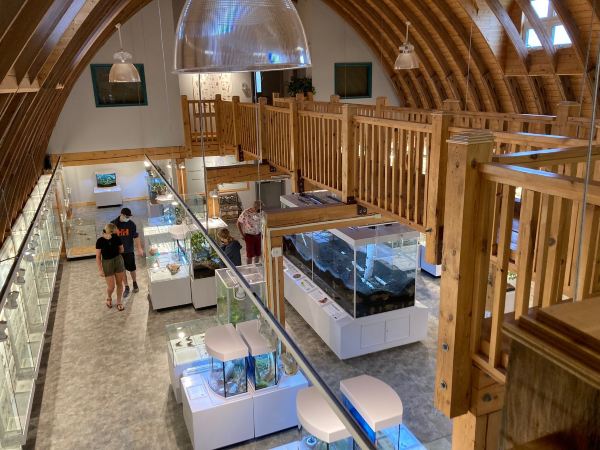 Voli da Providenciales per Deer Lake