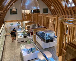 香港-鹿湖 機票酒店 自由行