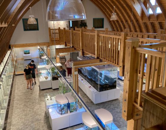 鹿湖 自由行套票