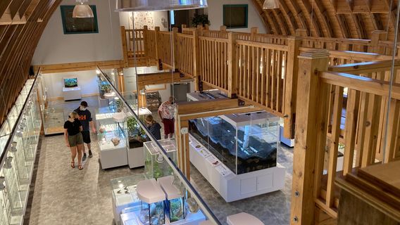 Newfoundland Insectarium