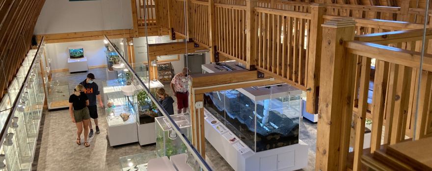 Newfoundland Insectarium