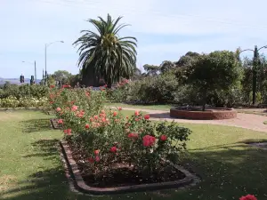 Morwell Centenary Rose Garden