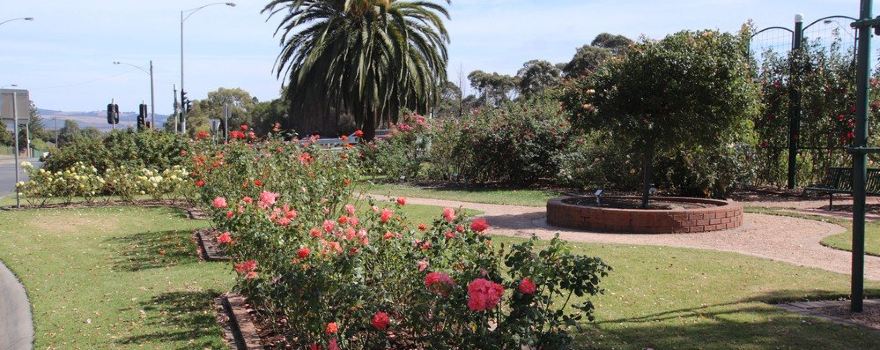 Morwell Centenary Rose Garden